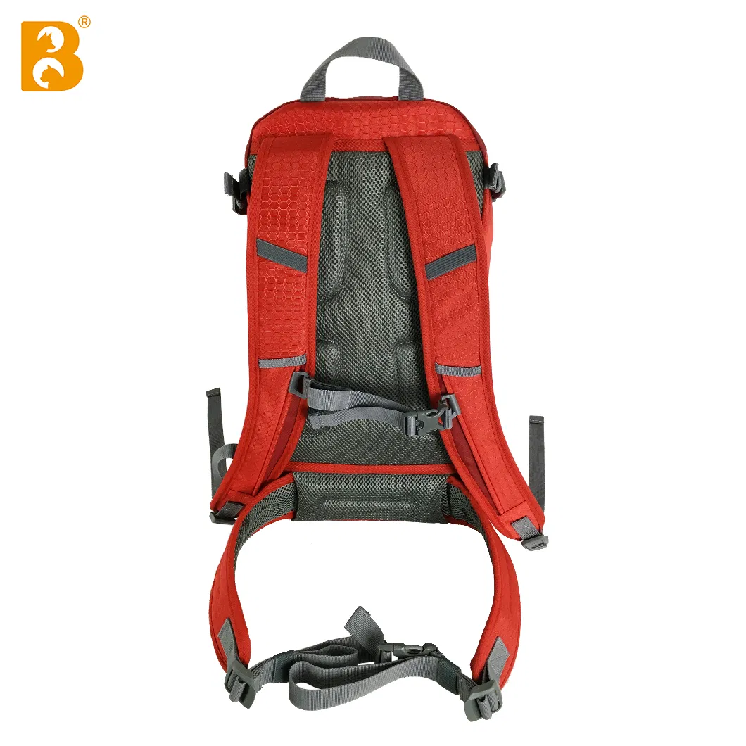 300d Polyester Outdoor Unisex Backpack