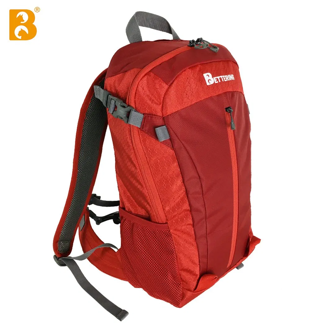 300d Polyester Outdoor Unisex Backpack