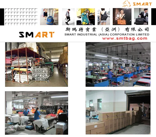 Backpack for 15 Inch Laptop with High Quality (SB2126)