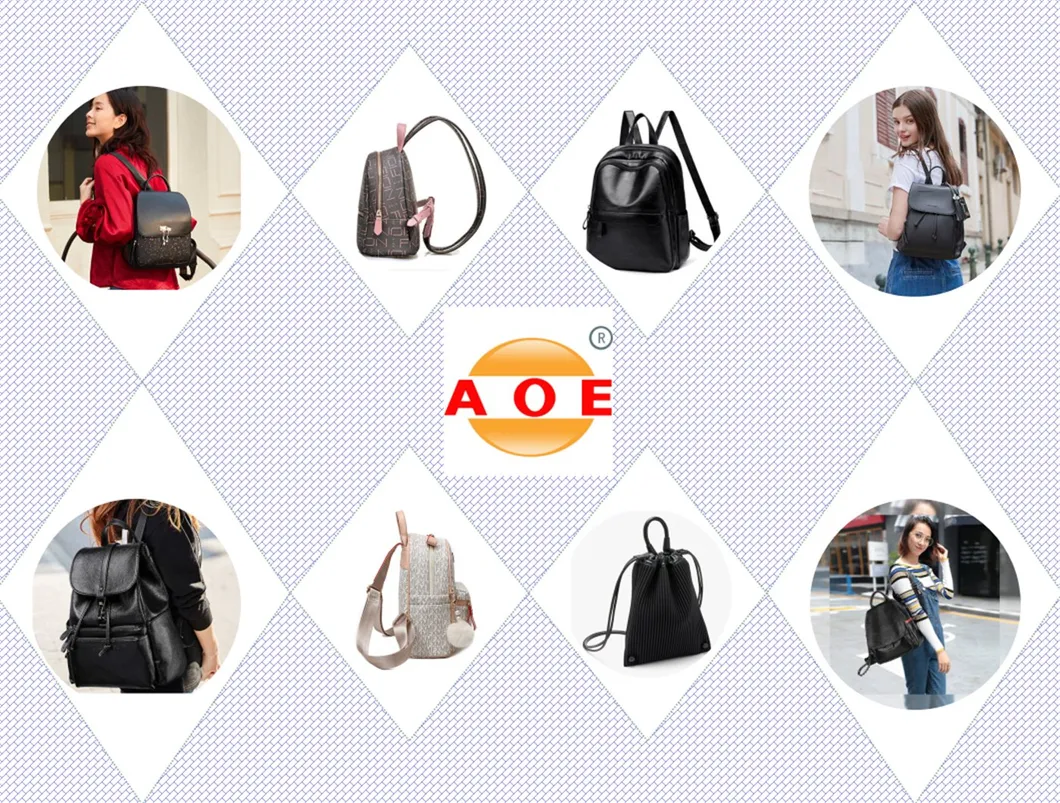 Business Backpack Computer Student Female School Bag Leisure Travel Backpack