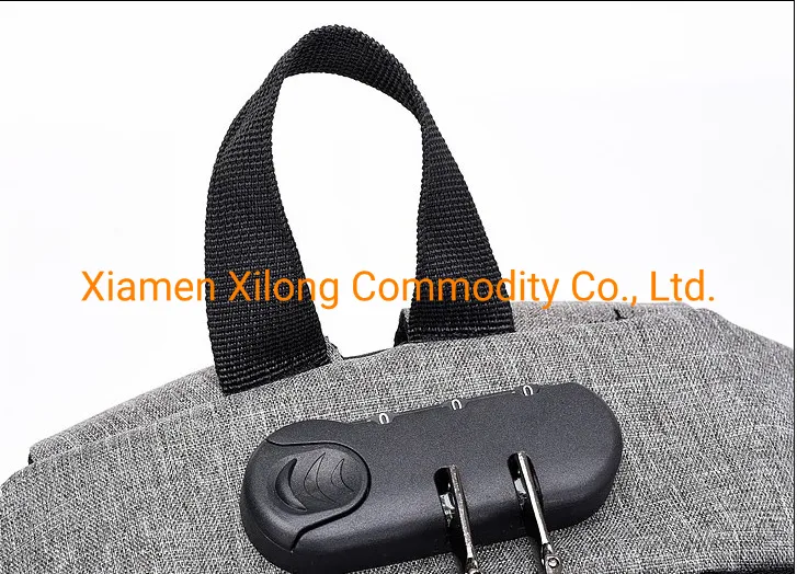 Custom Logo OEM Back Pack Wholesale Anti-Theft Backpack with Tsa Lock Mochila Antirrobo Anti Theft Smart Laptop Backpack Bag