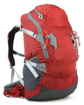 Fation Nice Backpack for Sports Traveling (SB6785C)