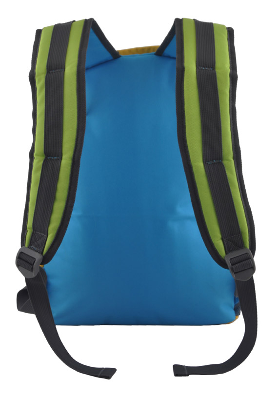 Laptop Backpack for School, Campus, Hiking, Traveling with Good Price