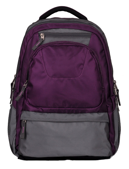 Laptop Backpack (SB2076) Backpack for Business