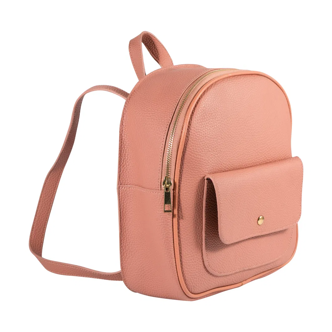 New Style Lambs Wool Women Backpack Bag Fashion Vegan Leather Handbags Fashion Crossbody Bag Lady Bags
