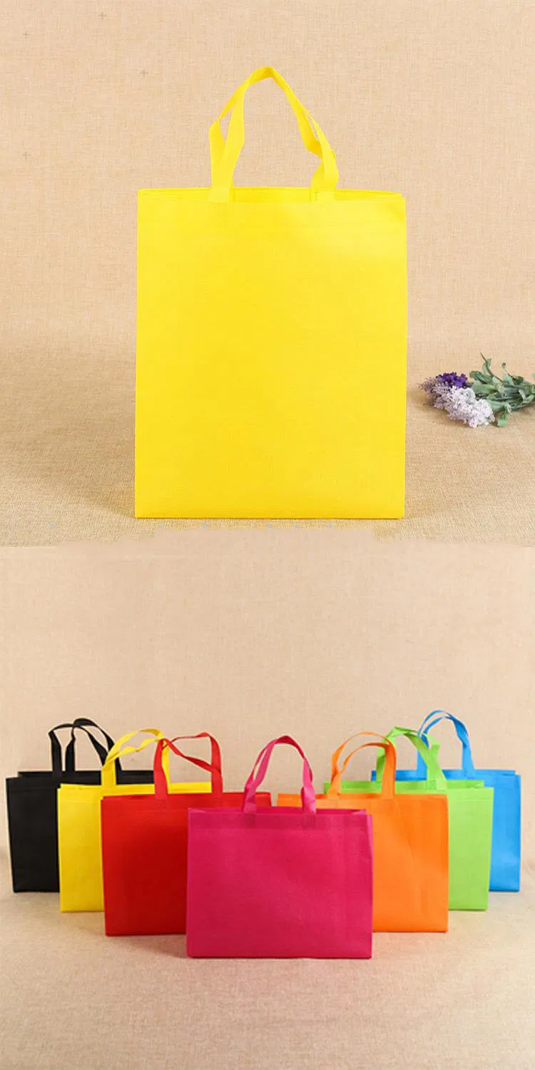 Non-Woven Bag Customize Accordion Pocket Environmental Hand Bag