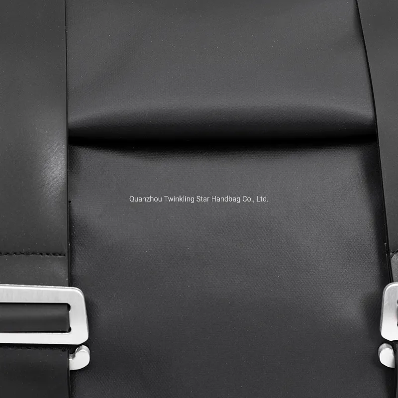Popular Design Travle Outdoor Laptop Business Backpack
